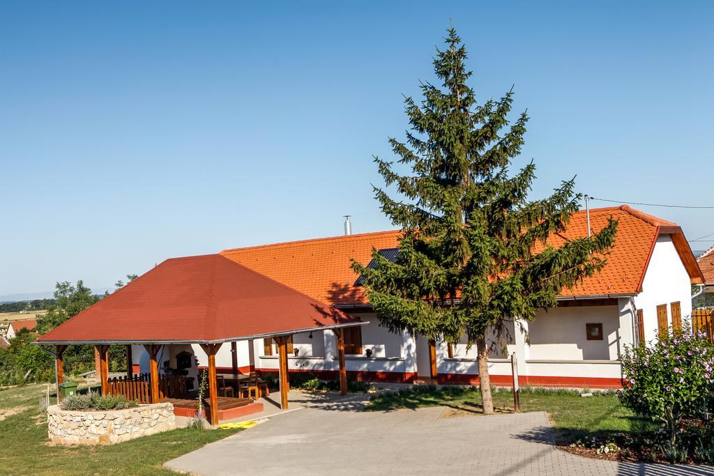 Katica Vendeghaz Hotel Tarcal Bagian luar foto